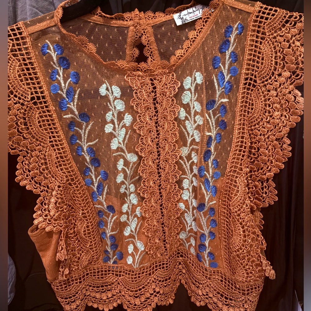Free People Boho Lace Embroidered Sheer Crop Top | Rust & Blue XS/S
